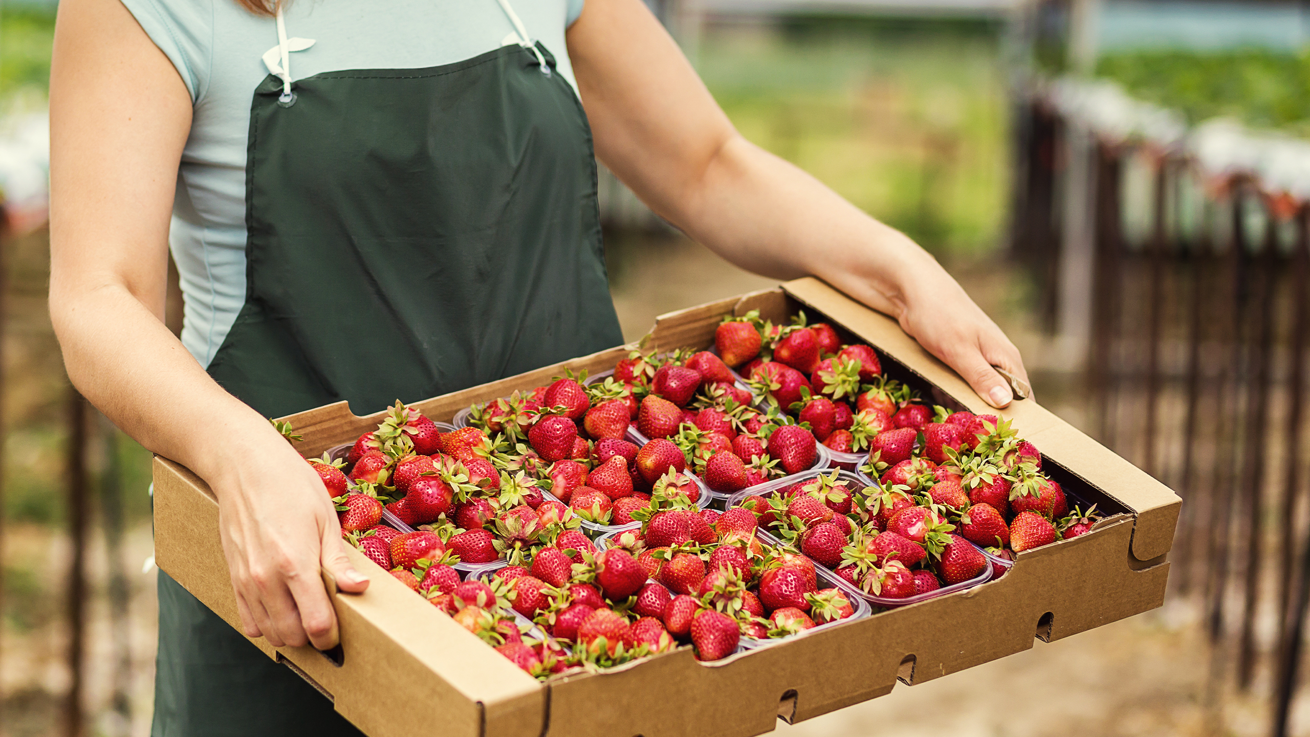 ALFANTRA® 聚烯烃热熔胶