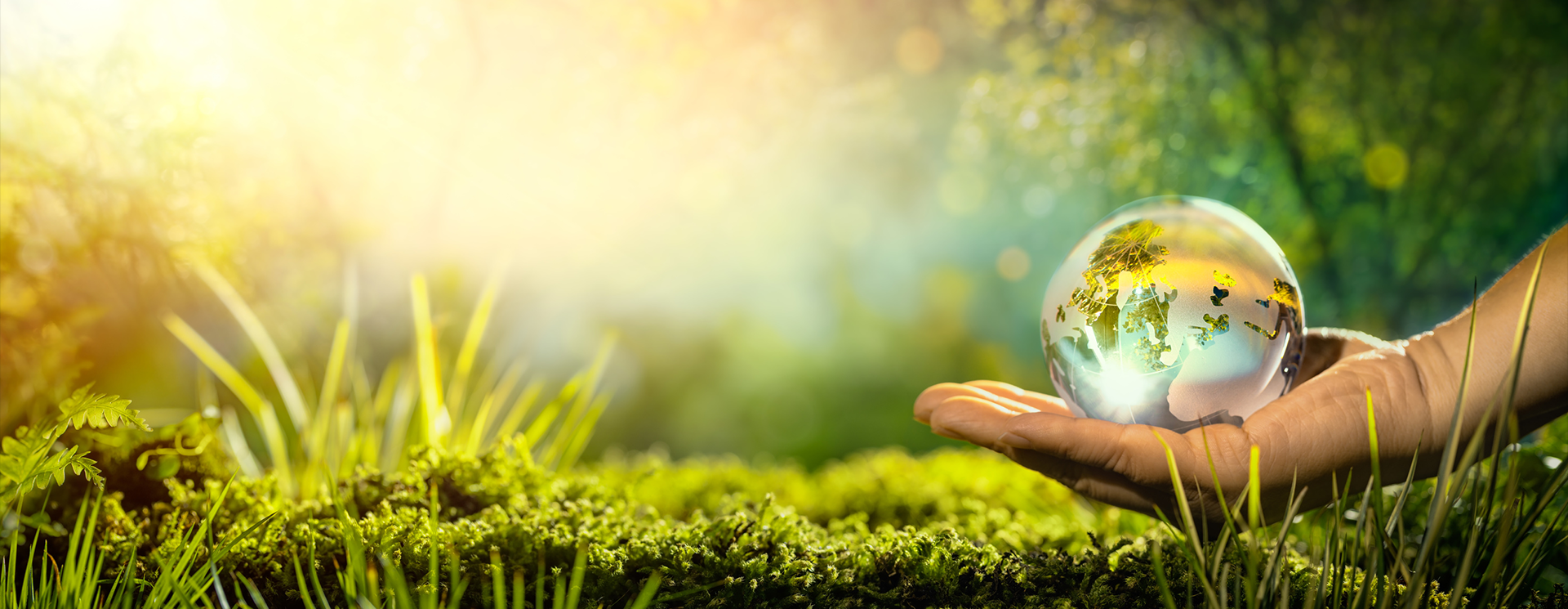 ALFA Klebstoffe AG 榮獲 ZKB 創新獎