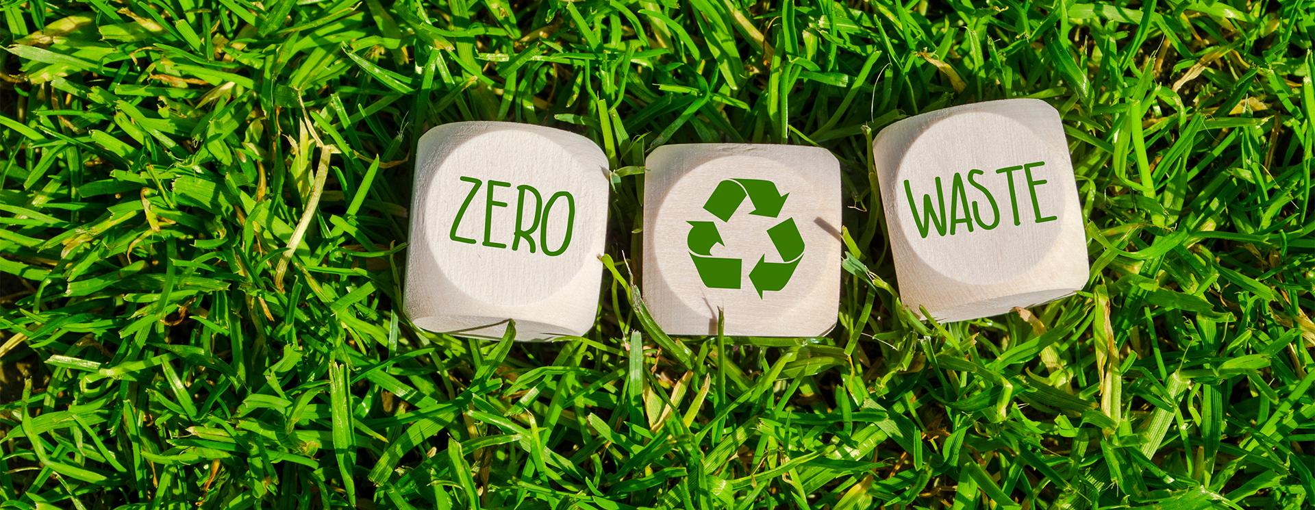 Zero Waste Blocks on Grass